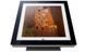 Настінний кондиціонер LG Gallery A09FT 3720 фото 4